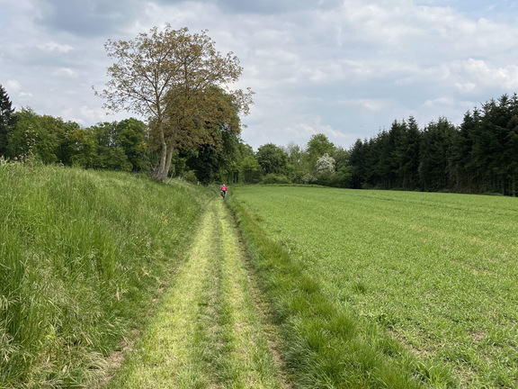 22-05-02 14-18-01 0734